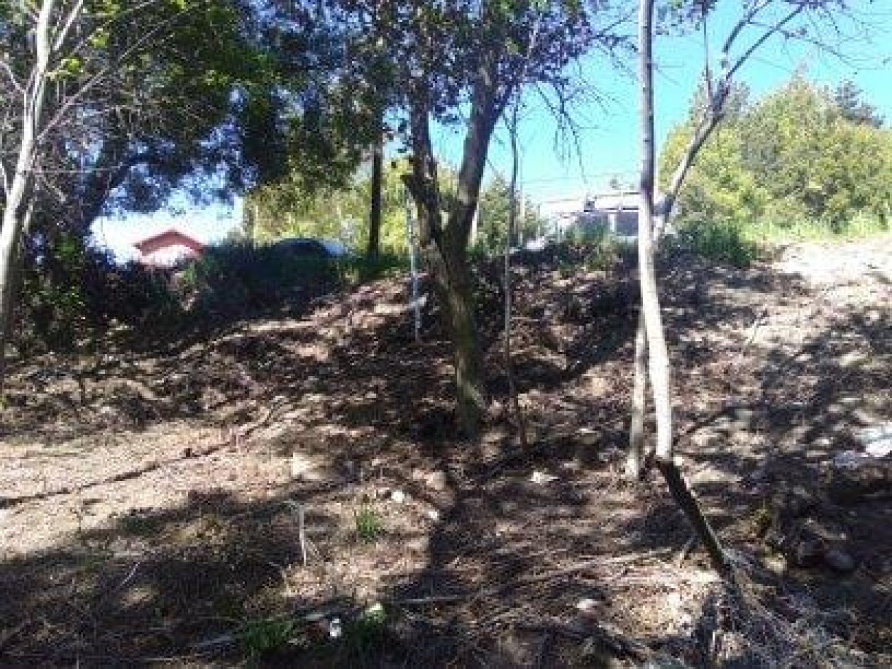 LOTE SOBRE PIONEROS - Superficie 1.152m2