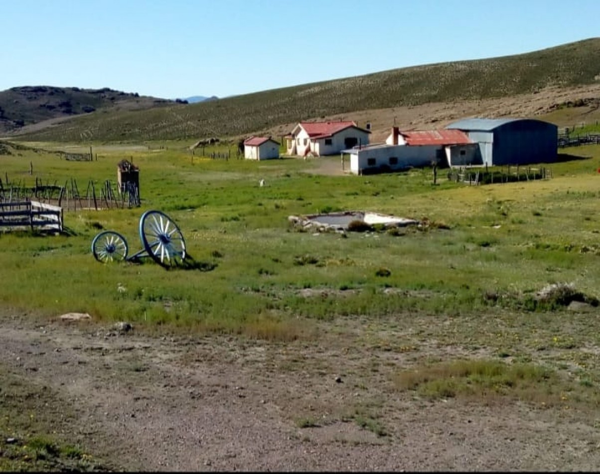 venta de campo en Jacobacci