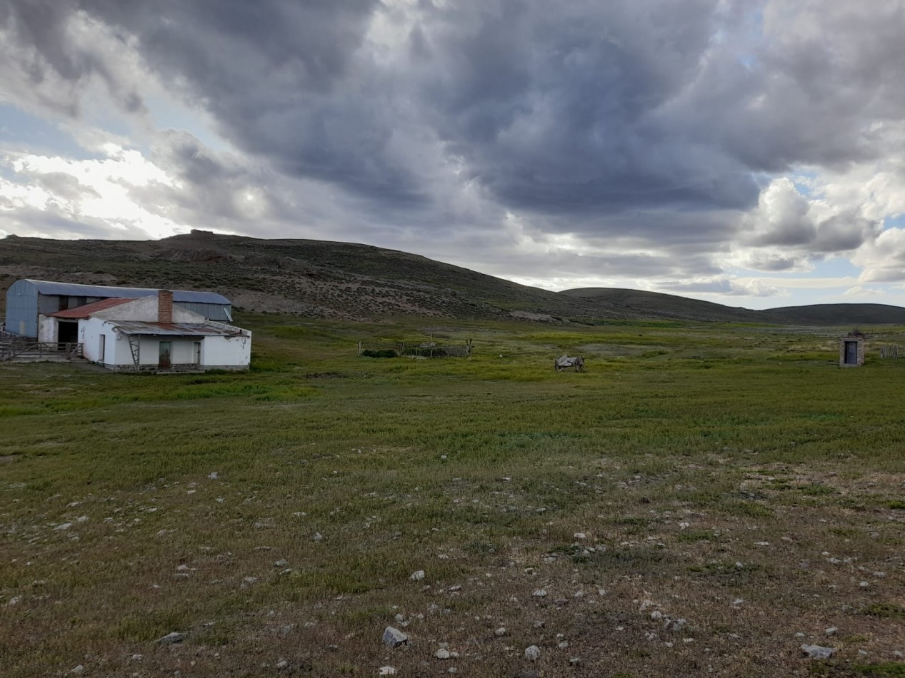 venta de campo en Jacobacci