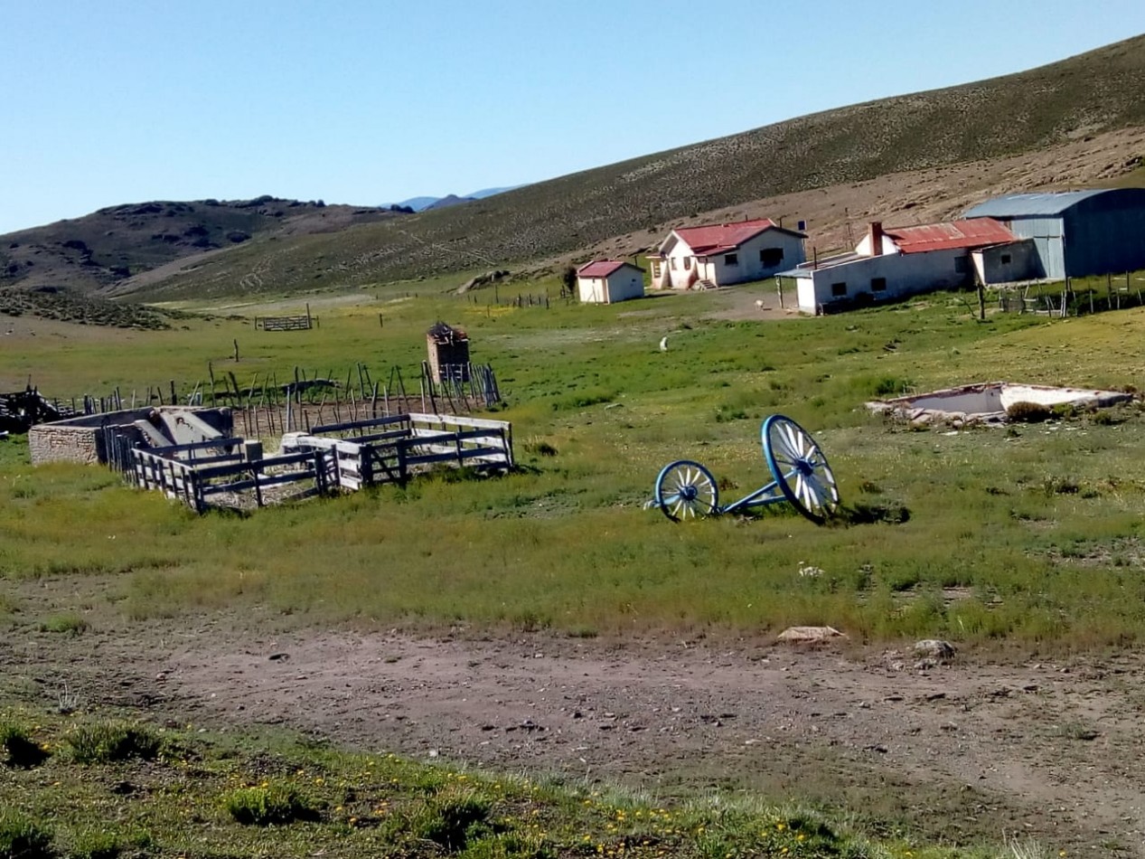 venta de campo en Jacobacci