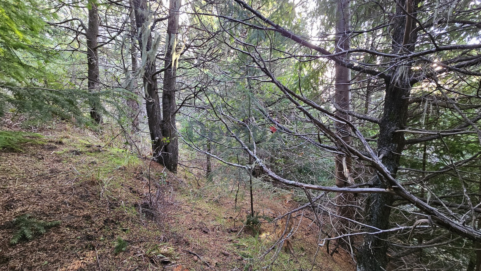 Terreno para desarrollo con vista al lago