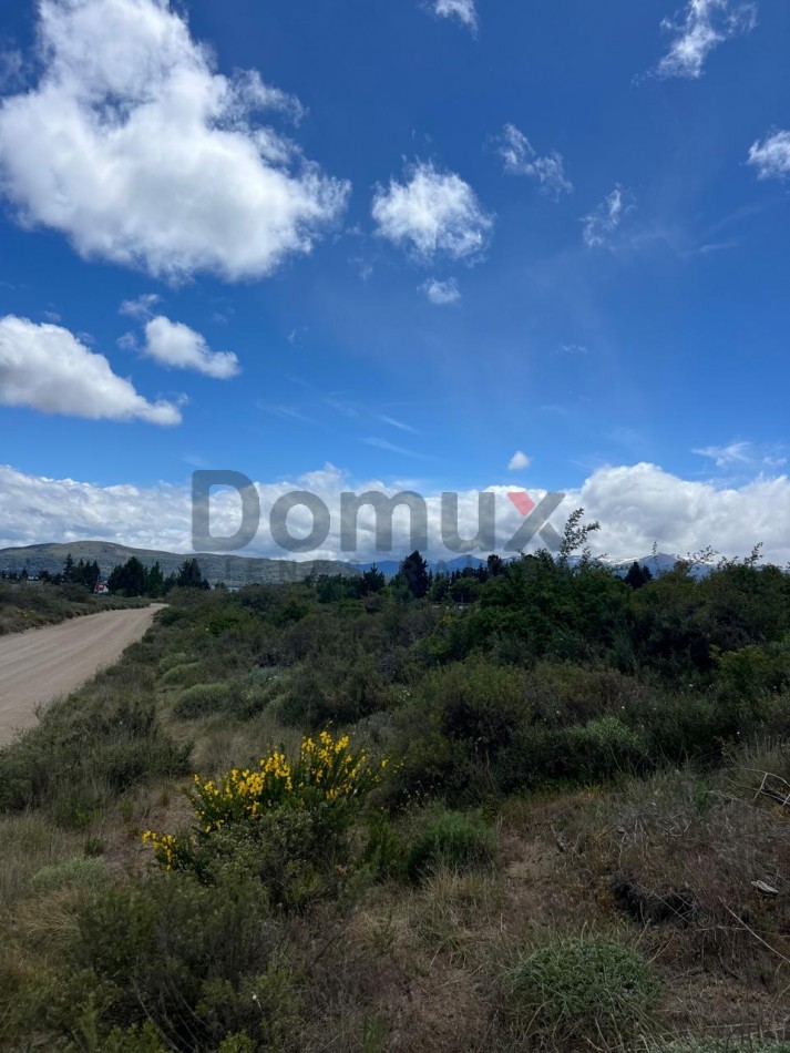 LOTE EN VENTA EN DINA HUAPI DE 1200 M2  