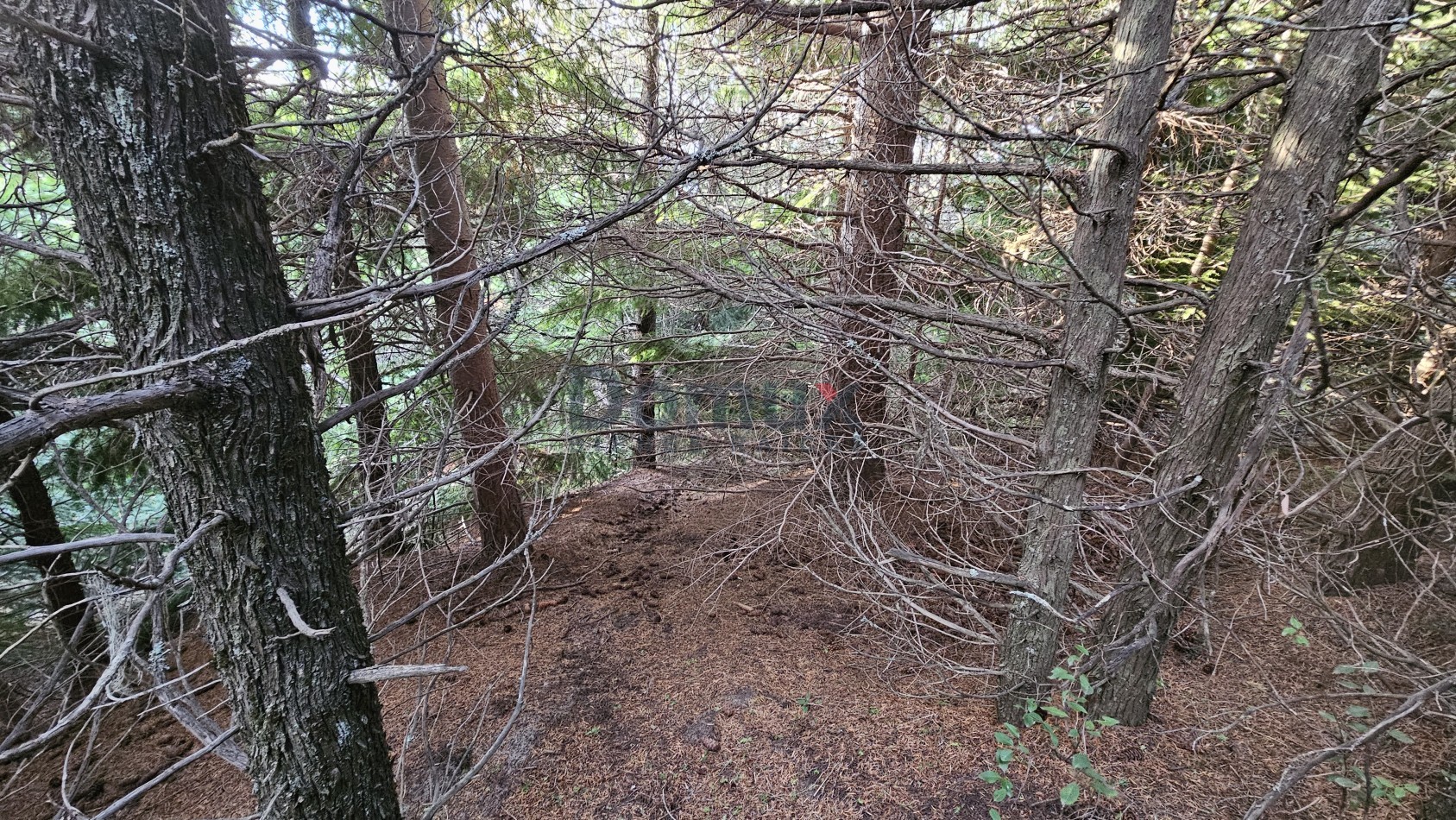Terreno para desarrollo con vista al lago