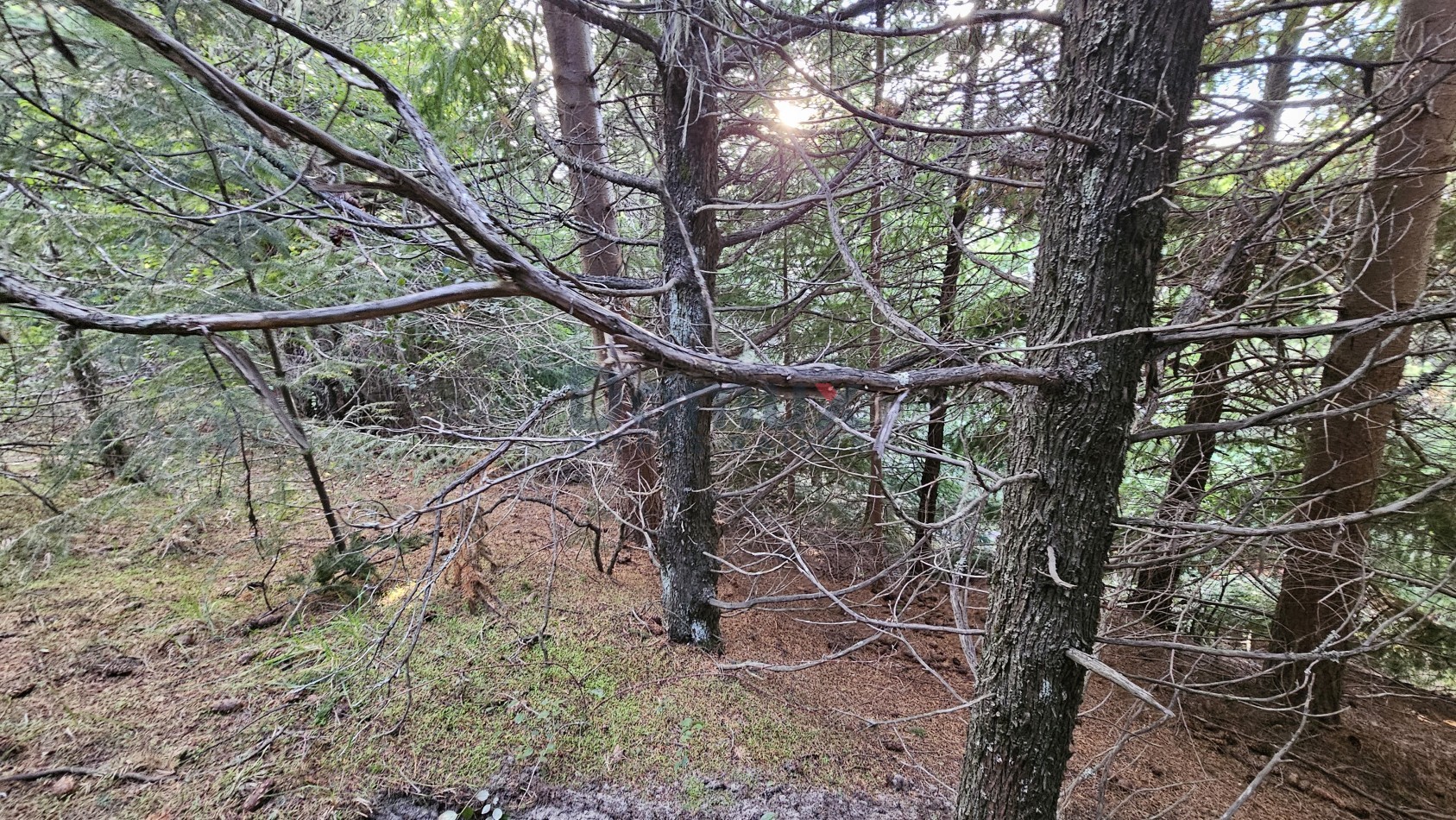 Terreno para desarrollo con vista al lago
