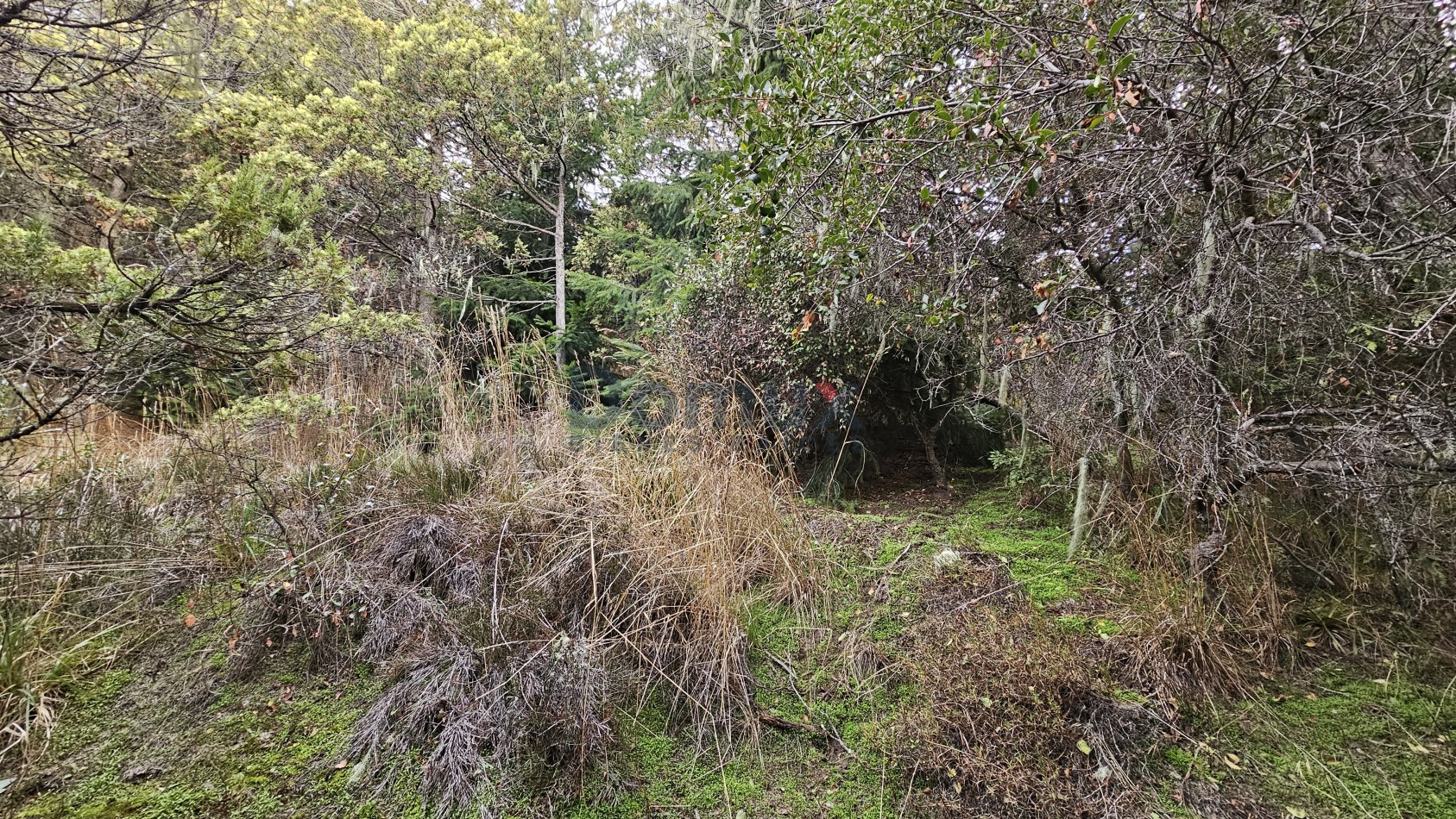 Terreno para desarrollo con vista al lago