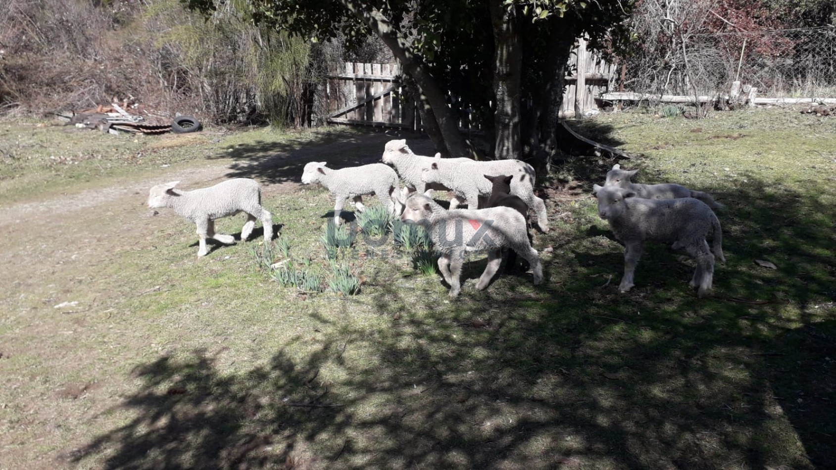VENTA CHACRA 6Has en el circuito de Mallin Ahogado