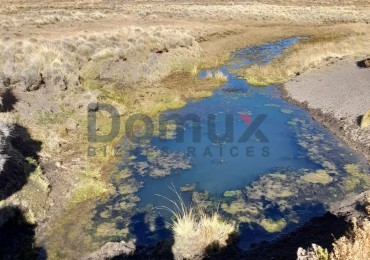 venta de campo en Jacobacci
